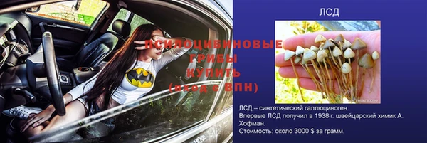 молекула духа Нязепетровск