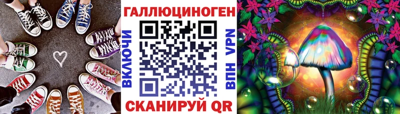 закладка  Колпашево  Псилоцибиновые грибы GOLDEN TEACHER 
